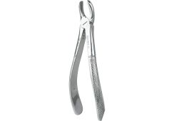 Oberkiefer Molar Rechts Figur 18