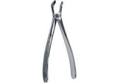 Unterkiefer  3. Molar Figur 79