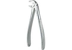 Unterkiefer Molar Figur 22